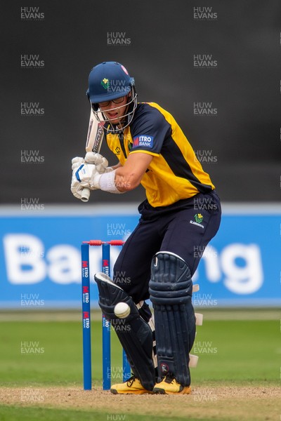260825 - Glamorgan v Leicestershire - Metro Bank One Day Cup - Asa Tribe of Glamorgan CCC
