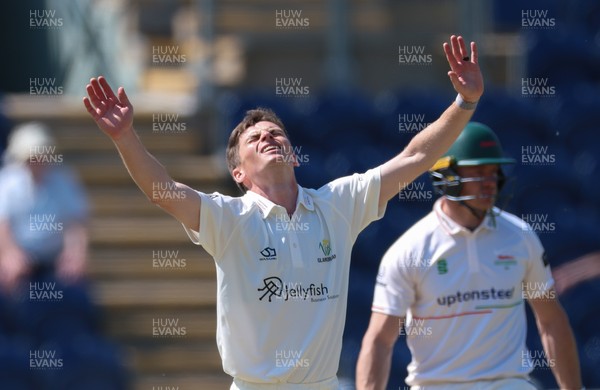 270426 - Glamorgan v Leicestershire, Rothesay County Championship Division 1 - Andy Gorvin of Glamorgan reacts as he fails to appeal for the wicket of Ajaz Patel of Leicestershire