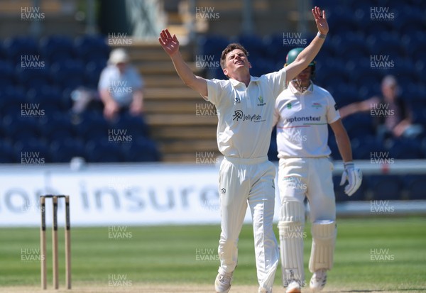 270426 - Glamorgan v Leicestershire, Rothesay County Championship Division 1 - Andy Gorvin of Glamorgan reacts as he fails to appeal for the wicket of Ajaz Patel of Leicestershire