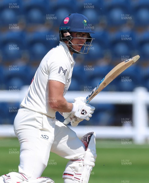 270426 - Glamorgan v Leicestershire, Rothesay County Championship Division 1 - Asa Tribe of Glamorgan plays a shot