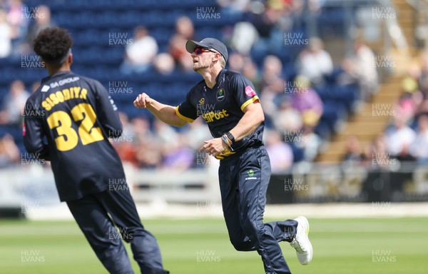 020723 - Glamorgan v Middlesex, Vitality Blast - Timm van der Gugten of Glamorgan  catches Max Holden of Middlesex off the bowling of Peter Hatzoglou of Glamorgan