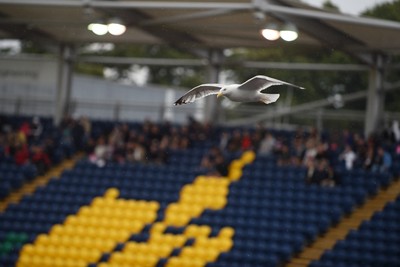 120724 - Glamorgan v Middlesex - T20, Vitality Blast - The rain pours at Sofia Gardens delaying the start of the match