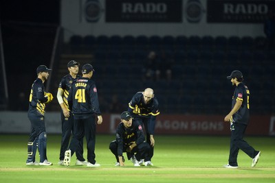 120724 - Glamorgan v Middlesex - T20, Vitality Blast - Marnus Labuschange of Glamorgan celebrates with team mates after catching the ball