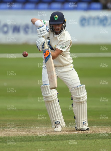 140719 - Glamorgan v Middlesex, Specsavers County Championship Division 2 - Billy Root of Glamorgan  plays a shot