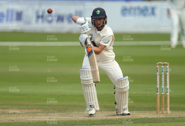 140719 - Glamorgan v Middlesex, Specsavers County Championship Division 2 - Billy Root of Glamorgan  plays a shot