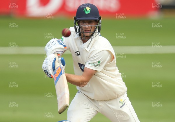 140719 - Glamorgan v Middlesex, Specsavers County Championship Division 2 - Billy Root of Glamorgan makes a quick single
