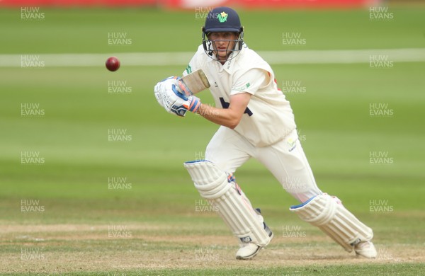 140719 - Glamorgan v Middlesex, Specsavers County Championship Division 2 - Billy Root of Glamorgan plays a shot