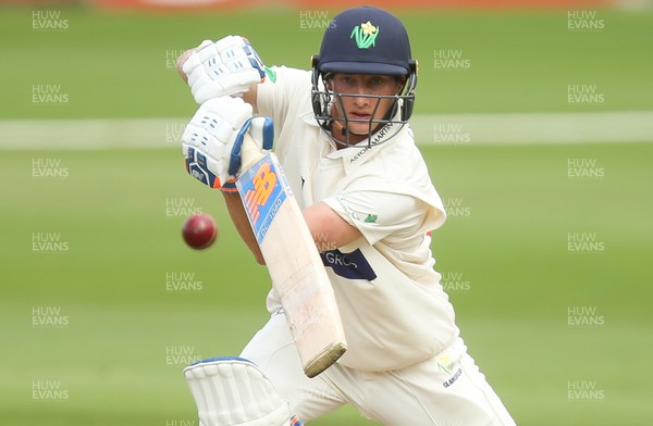 140719 - Glamorgan v Middlesex, Specsavers County Championship Division 2 - Billy Root of Glamorgan plays a shot
