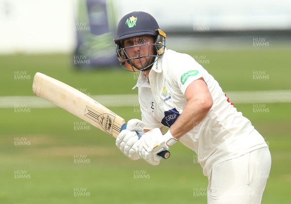 140719 - Glamorgan v Middlesex, Specsavers County Championship Division 2 - Chris Cooke of Glamorgan plays a shot 