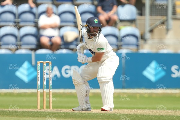 140719 - Glamorgan v Middlesex, Specsavers County Championship Division 2 - David Lloyd of Glamorgan waits for the delivery