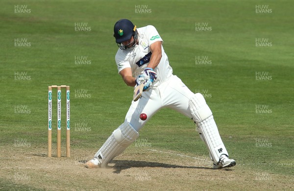 140719 - Glamorgan v Middlesex, Specsavers County Championship Division 2 - Marchant de Lange of Glamorgan plays a shot