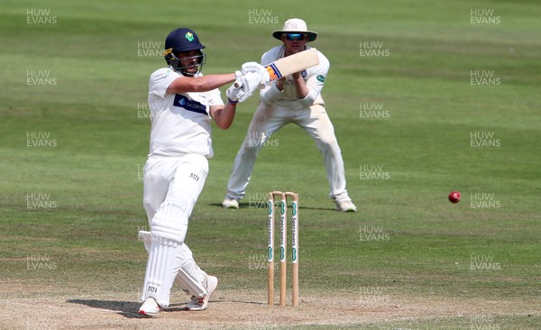 160719 - Glamorgan v Middlesex - Specsavers County Championship Division Two - Lukas Carey of Glamorgan batting
