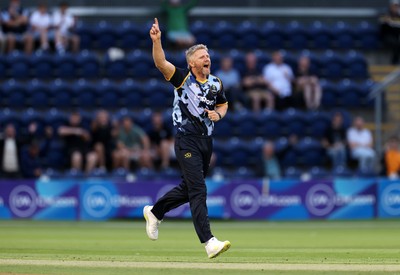 180725 - Glamorgan v Middlesex - Vitality T20 Blast - Timm Van Der Gugten of Glamorgan celebrates the wicket of Max Holden