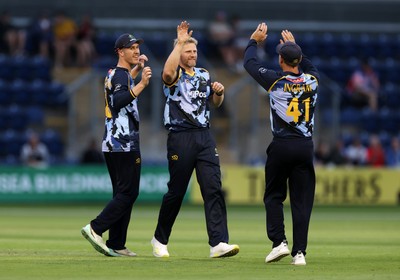 180725 - Glamorgan v Middlesex - Vitality T20 Blast - Timm Van Der Gugten of Glamorgan celebrates the wicket of Max Holden