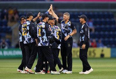 180725 - Glamorgan v Middlesex - Vitality T20 Blast - Timm Van Der Gugten of Glamorgan celebrates the wicket of Max Holden with team mates