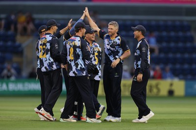 180725 - Glamorgan v Middlesex - Vitality T20 Blast - Timm Van Der Gugten of Glamorgan celebrates the wicket of Max Holden with team mates
