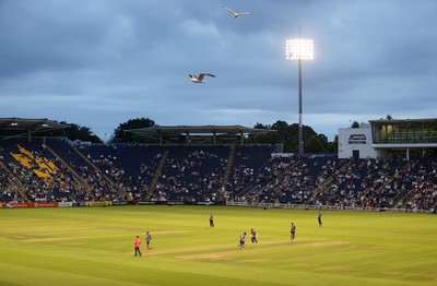 180725 - Glamorgan v Middlesex - Vitality T20 Blast - General View of Sophia Gardens