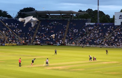 180725 - Glamorgan v Middlesex - Vitality T20 Blast - General View of Sophia Gardens