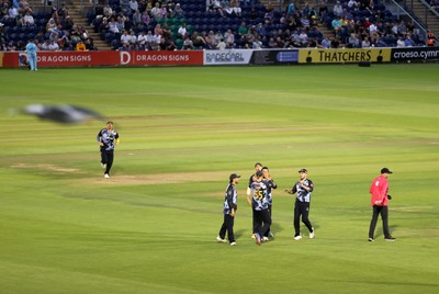 180725 - Glamorgan v Middlesex - Vitality T20 Blast - Asa Tribe of Glamorgan celebrates with team mates after catches the ball to dismiss Kane Williamson