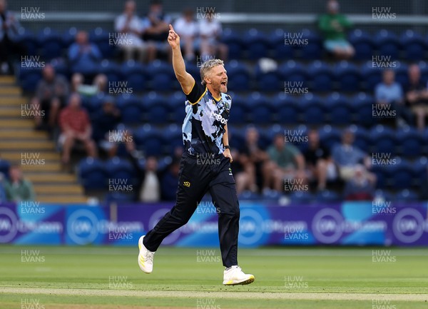180725 - Glamorgan v Middlesex - Vitality T20 Blast - Timm Van Der Gugten of Glamorgan celebrates the wicket of Max Holden