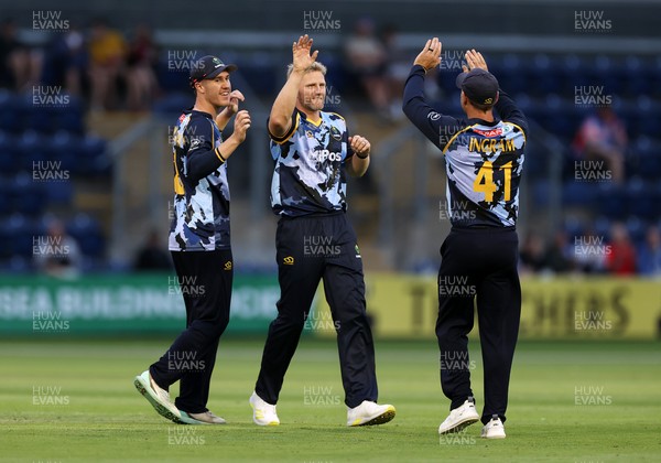 180725 - Glamorgan v Middlesex - Vitality T20 Blast - Timm Van Der Gugten of Glamorgan celebrates the wicket of Max Holden