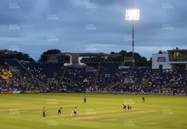 180725 - Glamorgan v Middlesex - Vitality T20 Blast - General View of Sophia Gardens