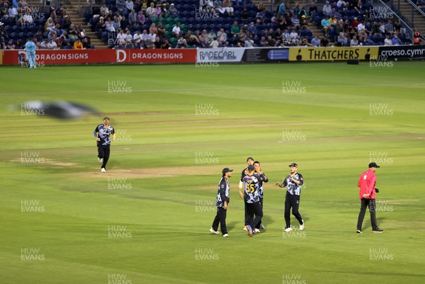 180725 - Glamorgan v Middlesex - Vitality T20 Blast - Asa Tribe of Glamorgan celebrates with team mates after catches the ball to dismiss Kane Williamson