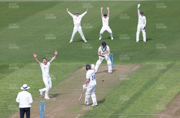 210422 - Glamorgan v Middlesex, LV= County Championship Division 2  - Sam Robson of Middlesex is given out lbw off James Harris of Glamorgan
