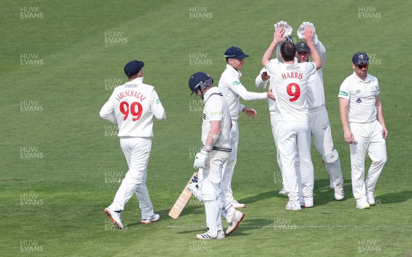 210422 - Glamorgan v Middlesex, LV= County Championship Division 2  - Sam Robson of Middlesex walks away from the wicket after being given out lbw as James Harris of Glamorgan celebrates with team mates