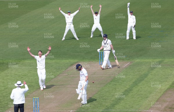 210422 - Glamorgan v Middlesex, LV= County Championship Division 2  - Sam Robson of Middlesex is given out lbw off James Harris of Glamorgan