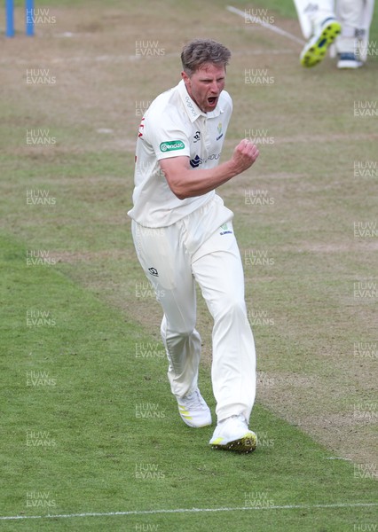 210422 - Glamorgan v Middlesex, LV= County Championship Division 2  - Timm van der Gugten of Glamorgan  celebrates after taking the wicket of Mark Stoneman of Middlesex