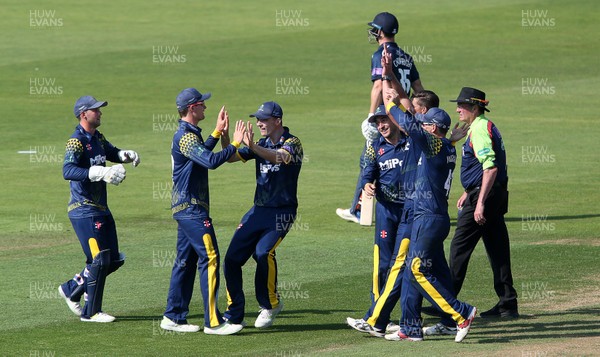 230518 - Glamorgan v Middlesex - Royal London One Day Cup - Aneurin Donald celebrates with team mates after catching Hilton Cartwright