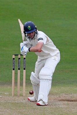 240525 - Glamorgan v Middlesex - Rothesay County Championship - Andy Gorvin of Glamorgan batting