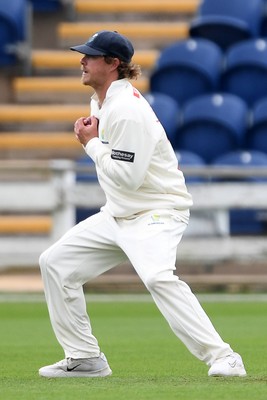 240525 - Glamorgan v Middlesex - Rothesay County Championship - Sam Robson of Middlesex is caught out by Sam Northeast of Glamorgan from the bowling of Timm Van Der Gugten