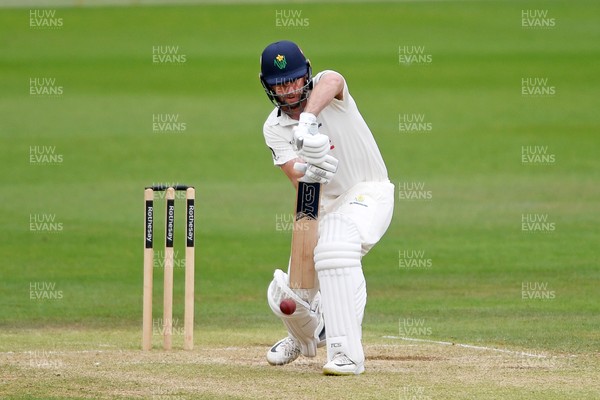 240525 - Glamorgan v Middlesex - Rothesay County Championship - Chris Cooke of Glamorgan batting