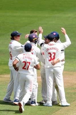 250525 - Glamorgan v Middlesex - Rothesay County Championship - Glamorgan celebrate after Asa Tribe catches the ball to dismiss Max Holden of Middlesex from the bowling of Matthew Kuhnemann