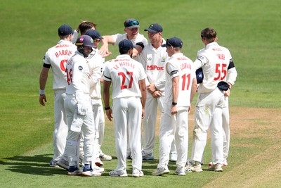 250525 - Glamorgan v Middlesex - Rothesay County Championship - Glamorgan celebrate after Asa Tribe catches the ball to dismiss Max Holden of Middlesex from the bowling of Matthew Kuhnemann
