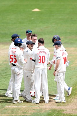 250525 - Glamorgan v Middlesex - Rothesay County Championship - Matthew Kuhnemann of Glamorgan celebrates with team mates after bowling out Sam Robson of Middlesex who was LBW