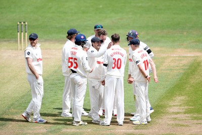 250525 - Glamorgan v Middlesex - Rothesay County Championship - Matthew Kuhnemann of Glamorgan celebrates with team mates after bowling out Sam Robson of Middlesex who was LBW