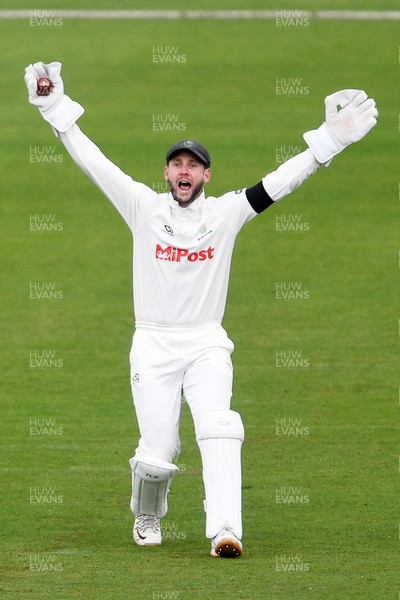 250525 - Glamorgan v Middlesex - Rothesay County Championship - Chris Cooke of Glamorgan catches the ball