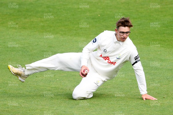 250525 - Glamorgan v Middlesex - Rothesay County Championship - Asa Tribe of Glamorgan catches the ball