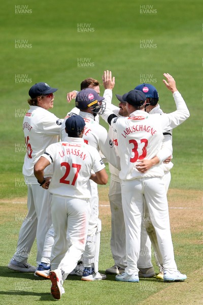 250525 - Glamorgan v Middlesex - Rothesay County Championship - Glamorgan celebrate after Asa Tribe catches the ball to dismiss Max Holden of Middlesex from the bowling of Matthew Kuhnemann