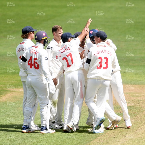 250525 - Glamorgan v Middlesex - Rothesay County Championship - Glamorgan celebrate after Asa Tribe catches the ball to dismiss Max Holden of Middlesex from the bowling of Matthew Kuhnemann