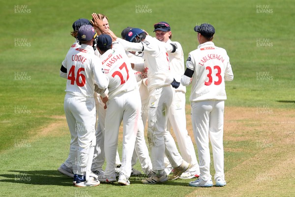 250525 - Glamorgan v Middlesex - Rothesay County Championship - Glamorgan celebrate after Asa Tribe catches the ball to dismiss Max Holden of Middlesex from the bowling of Matthew Kuhnemann