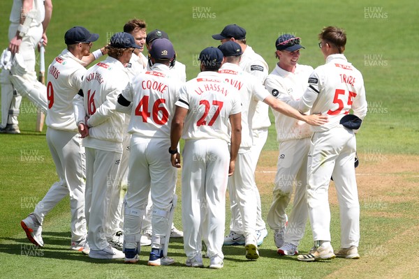 250525 - Glamorgan v Middlesex - Rothesay County Championship - Glamorgan celebrate after Asa Tribe catches the ball to dismiss Max Holden of Middlesex from the bowling of Matthew Kuhnemann