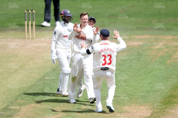 250525 - Glamorgan v Middlesex - Rothesay County Championship - Matthew Kuhnemann of Glamorgan celebrates with team mates after bowling out Sam Robson of Middlesex who was LBW