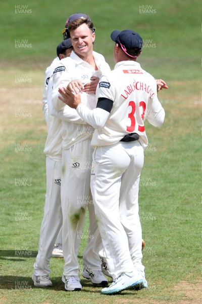 250525 - Glamorgan v Middlesex - Rothesay County Championship - Matthew Kuhnemann of Glamorgan celebrates with team mates after bowling out Sam Robson of Middlesex who was LBW