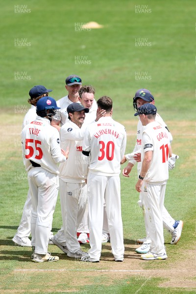 250525 - Glamorgan v Middlesex - Rothesay County Championship - Matthew Kuhnemann of Glamorgan celebrates with team mates after bowling out Sam Robson of Middlesex who was LBW