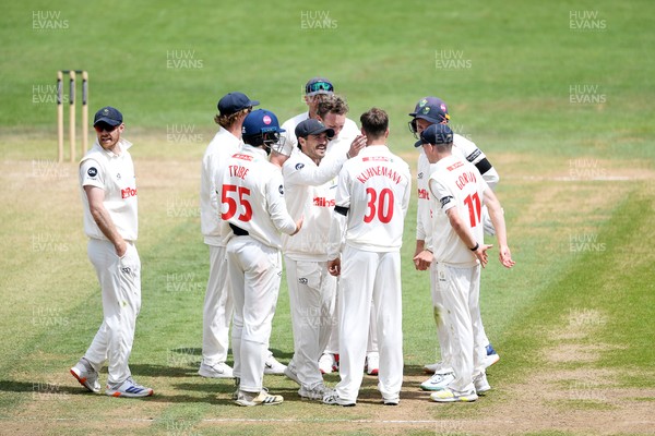 250525 - Glamorgan v Middlesex - Rothesay County Championship - Matthew Kuhnemann of Glamorgan celebrates with team mates after bowling out Sam Robson of Middlesex who was LBW