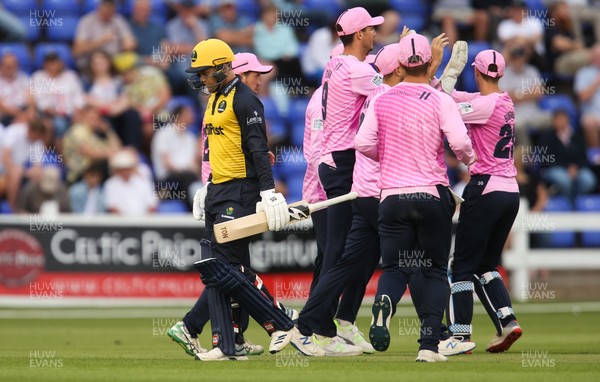 260719 - Glamorgan v Middlesex, Vitality Blast - Middlesex players celebrate as Colin Ingram of Glamorgan makes his way from the wicket after being caught out